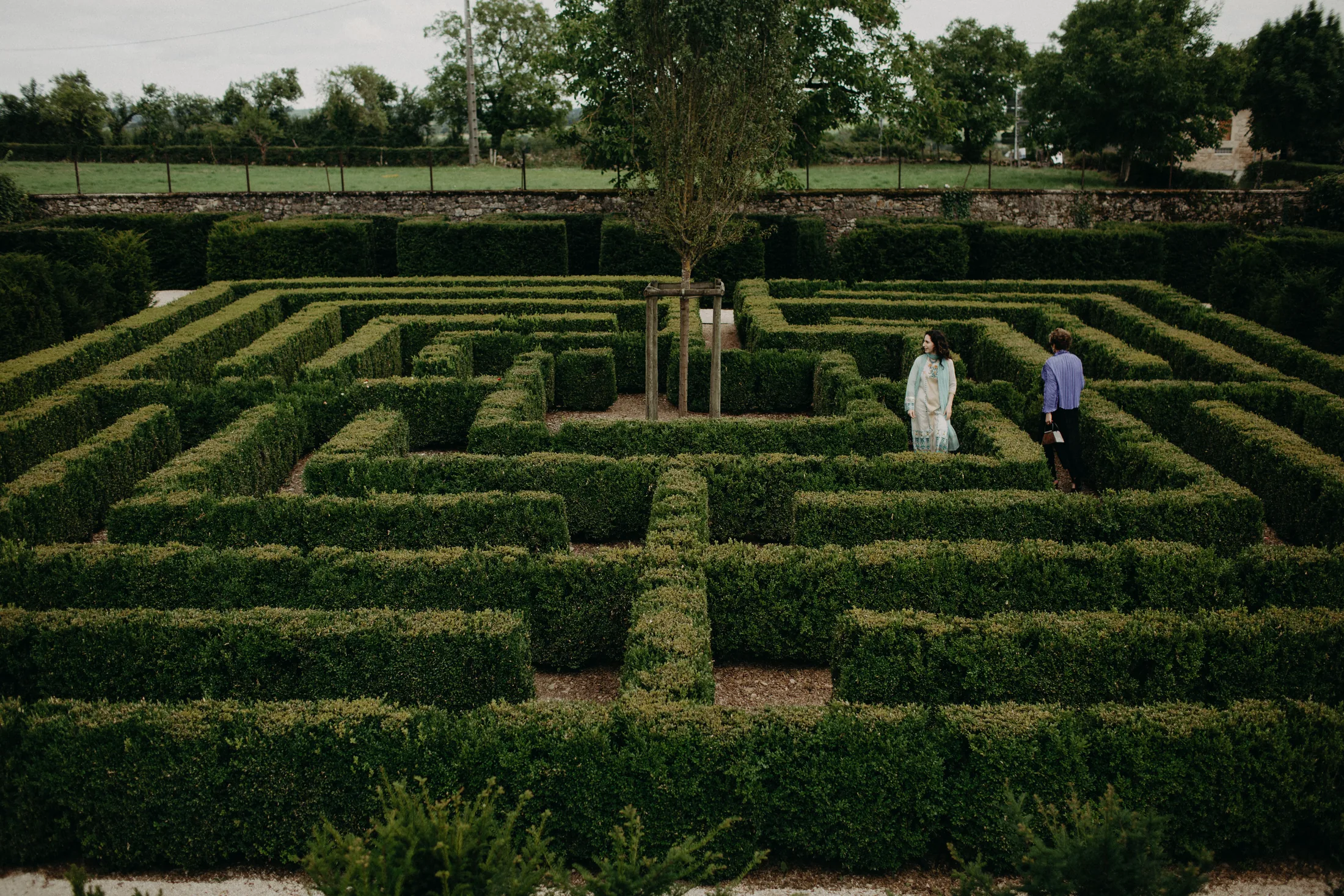 The gardens