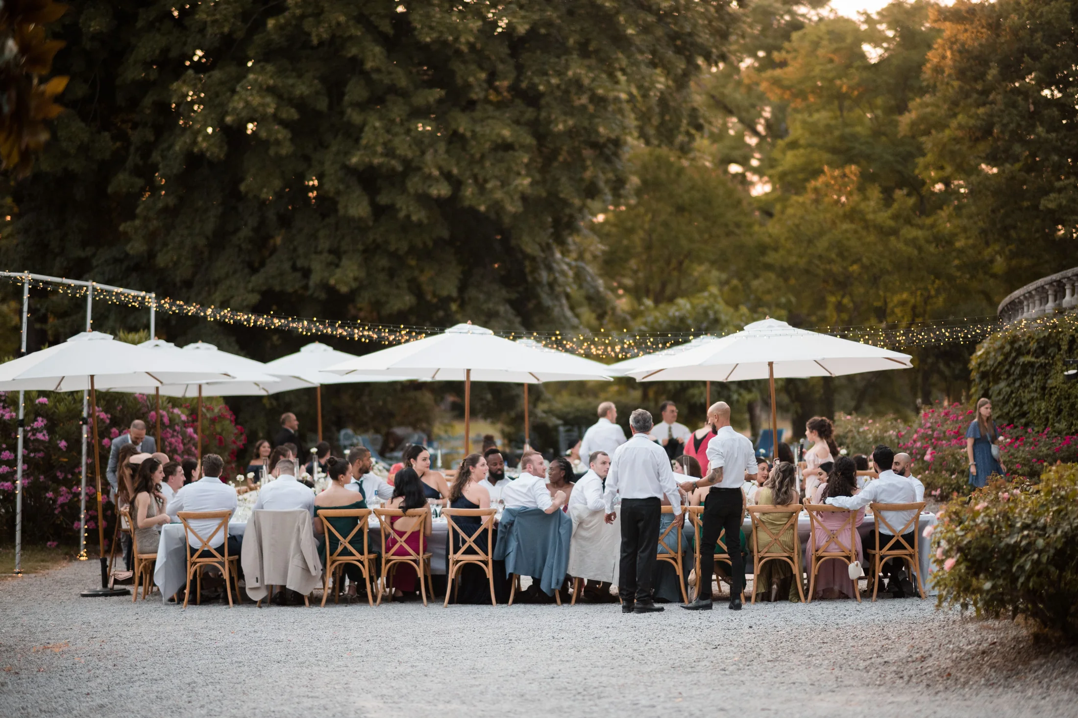 Dinner under the parasols in the park